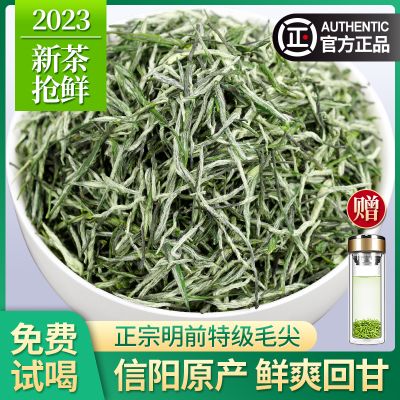 2023新茶毛尖茶叶信阳原产明前特级嫩芽浓香型绿茶散装毛尖茶500g